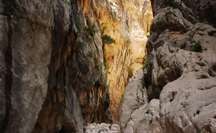 Gorropu-interno-canyon