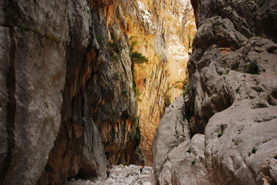 Gorropu-interno-canyon